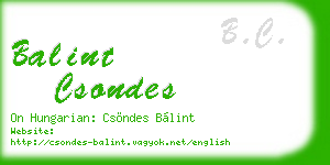 balint csondes business card