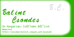 balint csondes business card